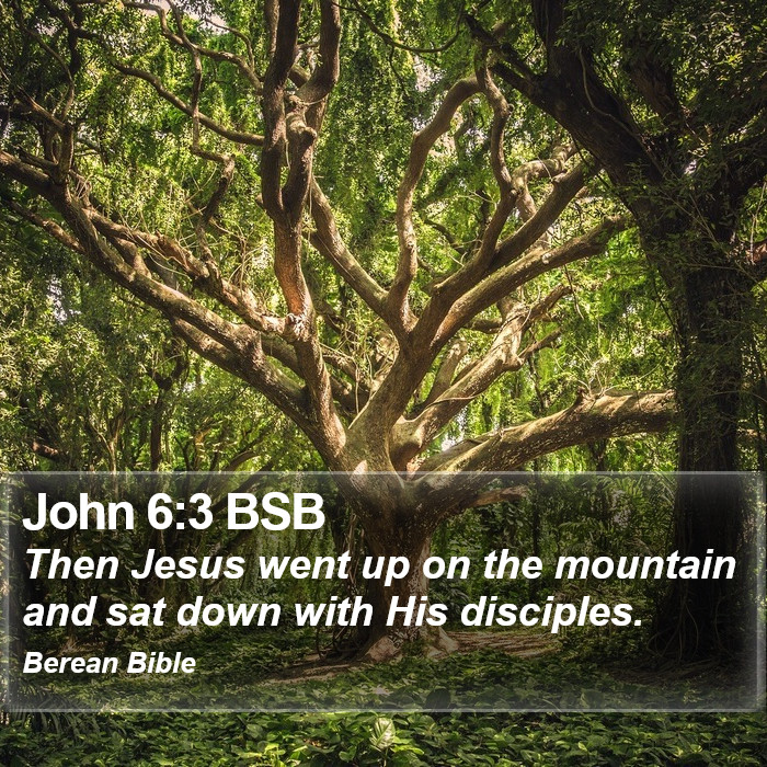 John 6:3 BSB Bible Study