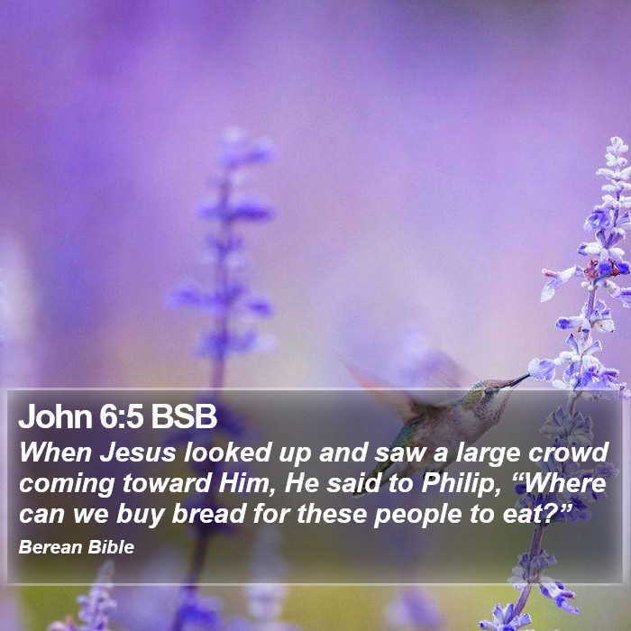 John 6:5 BSB Bible Study