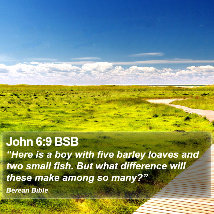 John 6:9 BSB Bible Study