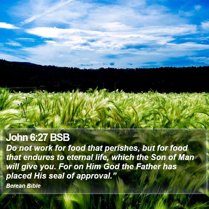 John 6:27 BSB Bible Study