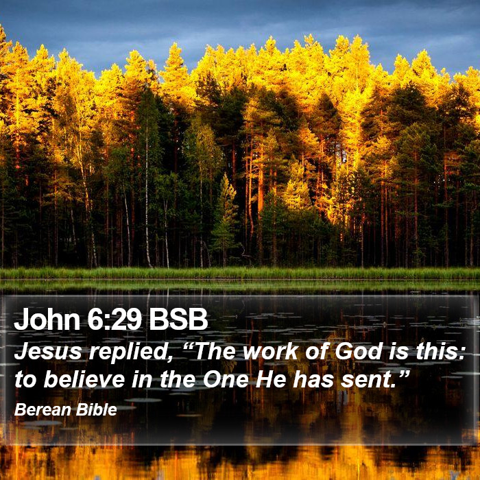 John 6:29 BSB Bible Study