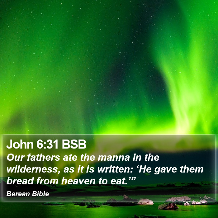 John 6:31 BSB Bible Study