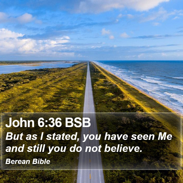 John 6:36 BSB Bible Study