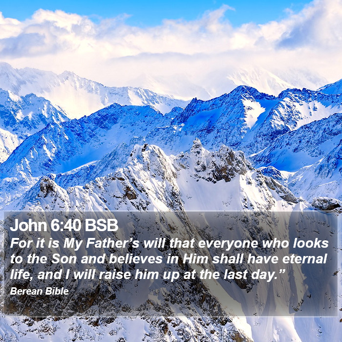 John 6:40 BSB Bible Study