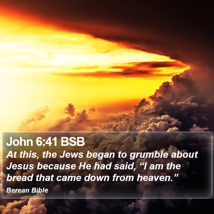 John 6:41 BSB Bible Study