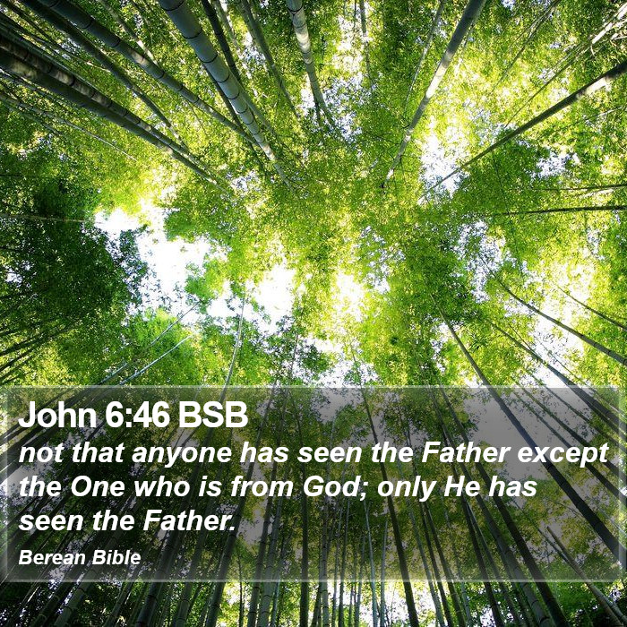 John 6:46 BSB Bible Study