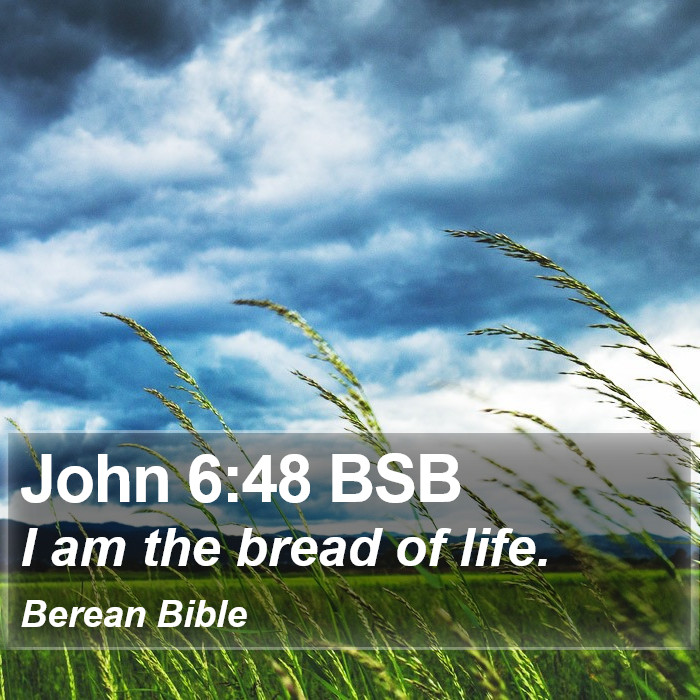 John 6:48 BSB Bible Study