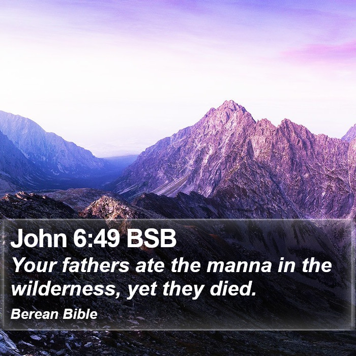 John 6:49 BSB Bible Study