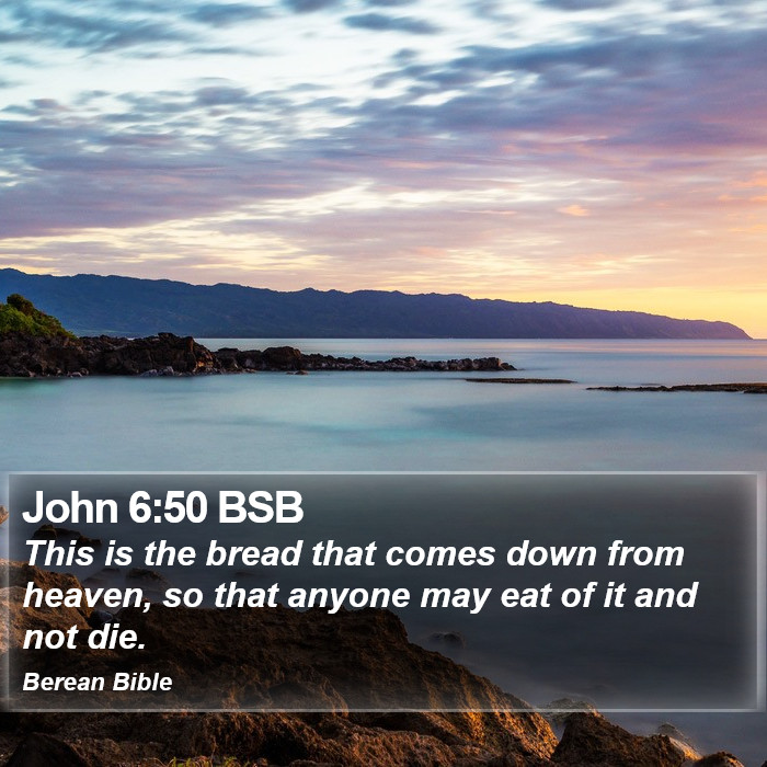 John 6:50 BSB Bible Study