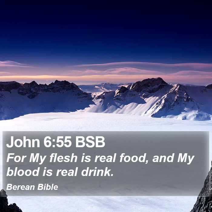 John 6:55 BSB Bible Study