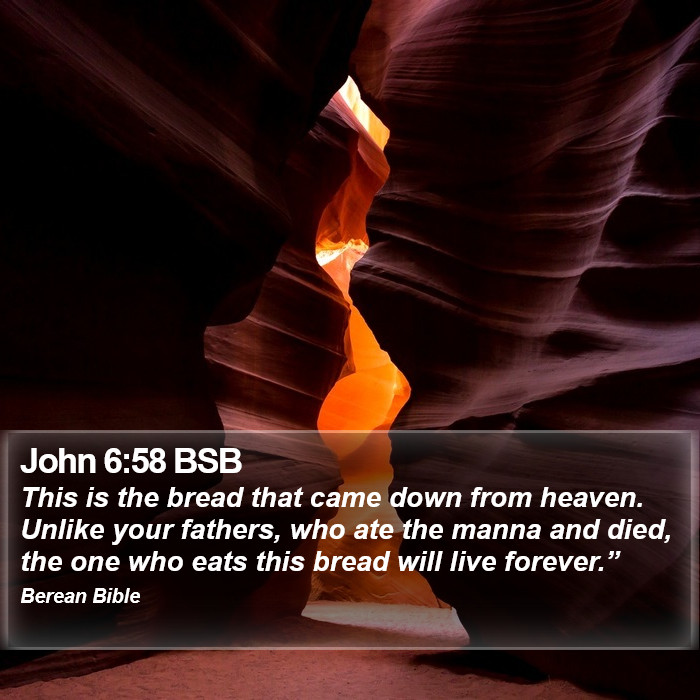 John 6:58 BSB Bible Study