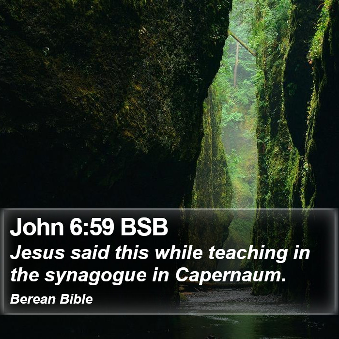 John 6:59 BSB Bible Study