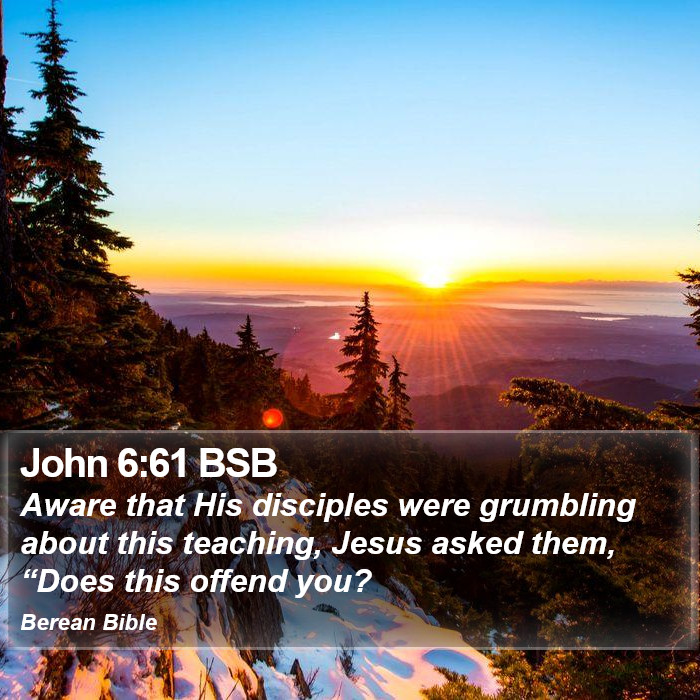 John 6:61 BSB Bible Study