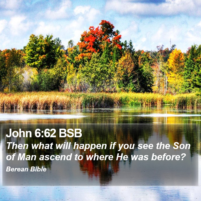 John 6:62 BSB Bible Study