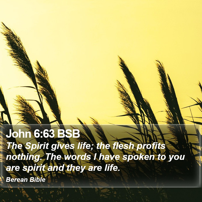 John 6:63 BSB Bible Study