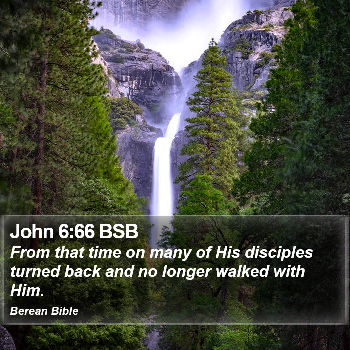 John 6:66 BSB Bible Study