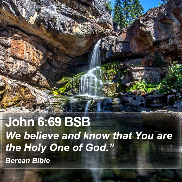 John 6:69 BSB Bible Study