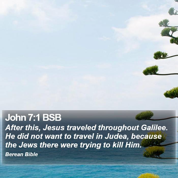 John 7:1 BSB Bible Study