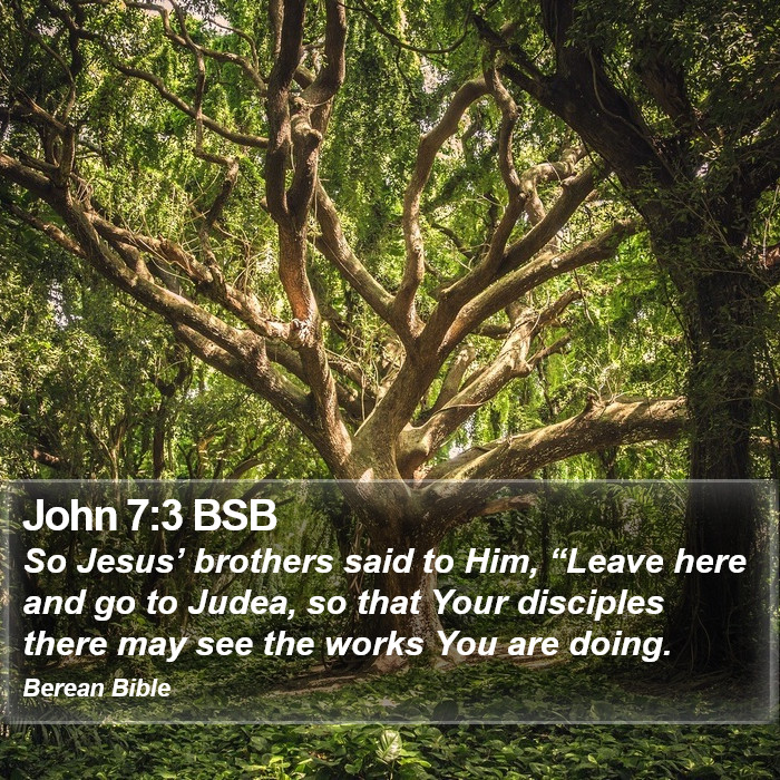 John 7:3 BSB Bible Study