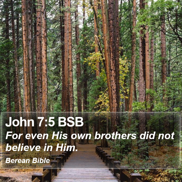 John 7:5 BSB Bible Study