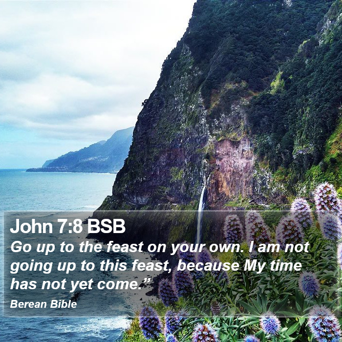 John 7:8 BSB Bible Study