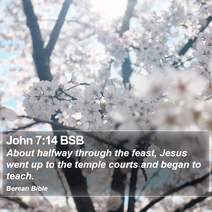 John 7:14 BSB Bible Study