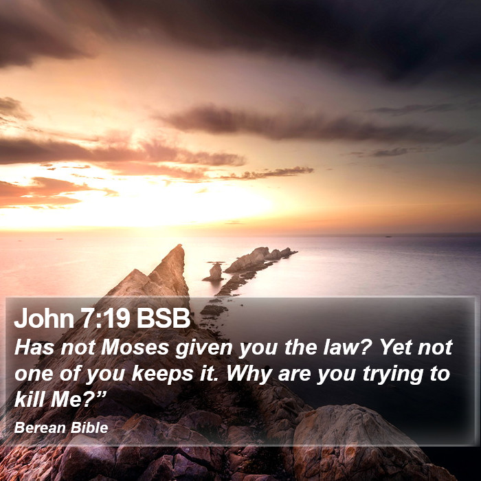 John 7:19 BSB Bible Study