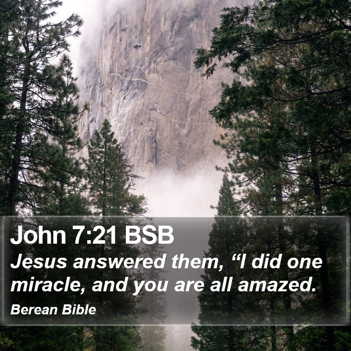 John 7:21 BSB Bible Study