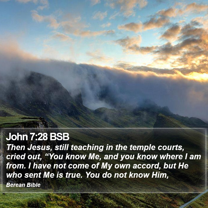 John 7:28 BSB Bible Study