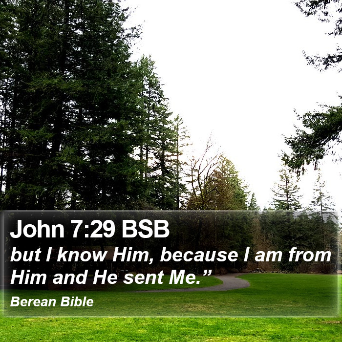 John 7:29 BSB Bible Study