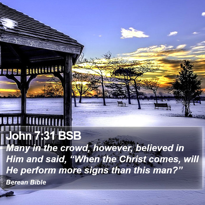 John 7:31 BSB Bible Study