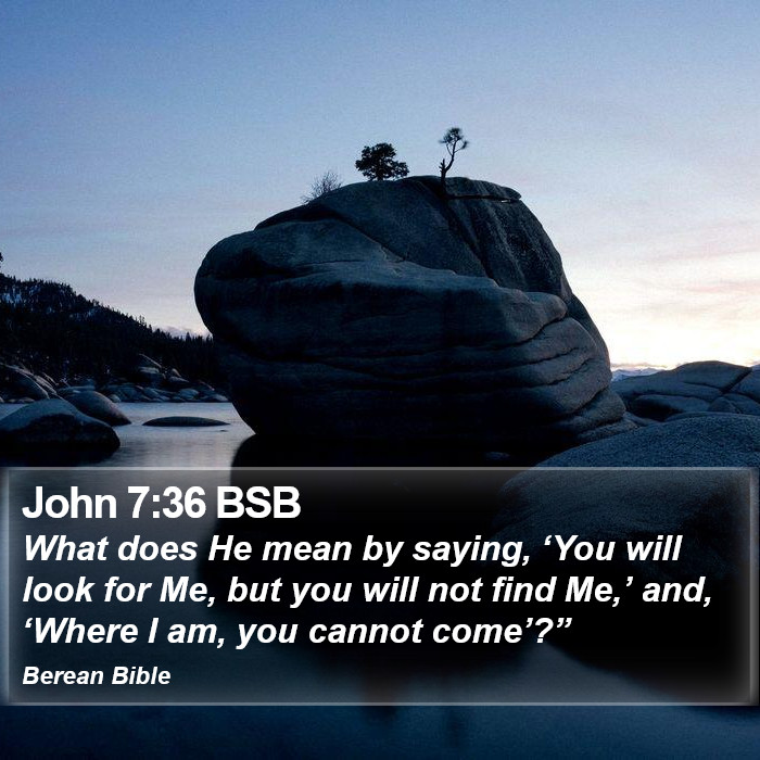 John 7:36 BSB Bible Study