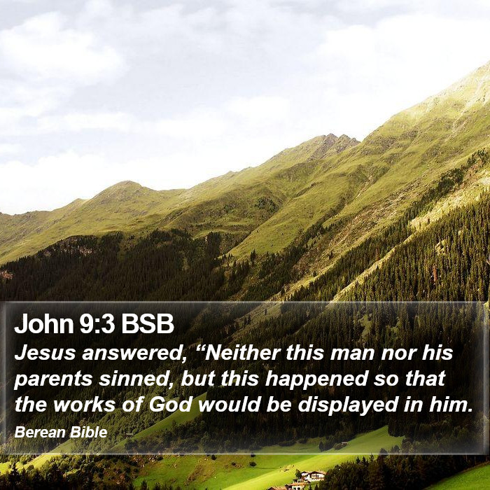 John 9:3 BSB Bible Study