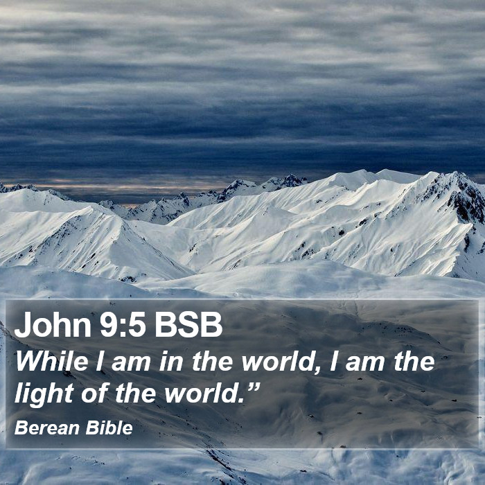 John 9:5 BSB Bible Study