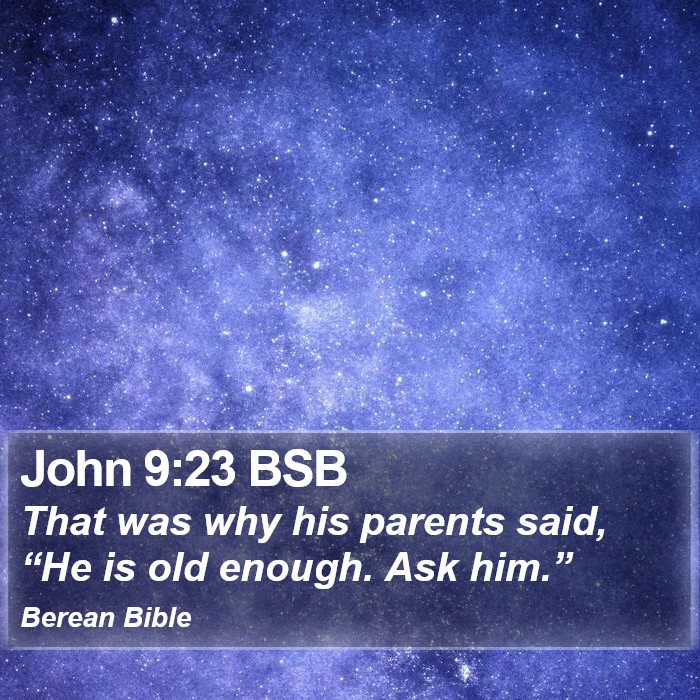 John 9:23 BSB Bible Study