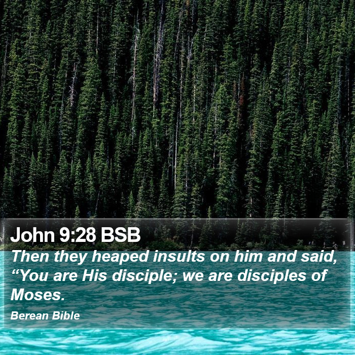 John 9:28 BSB Bible Study