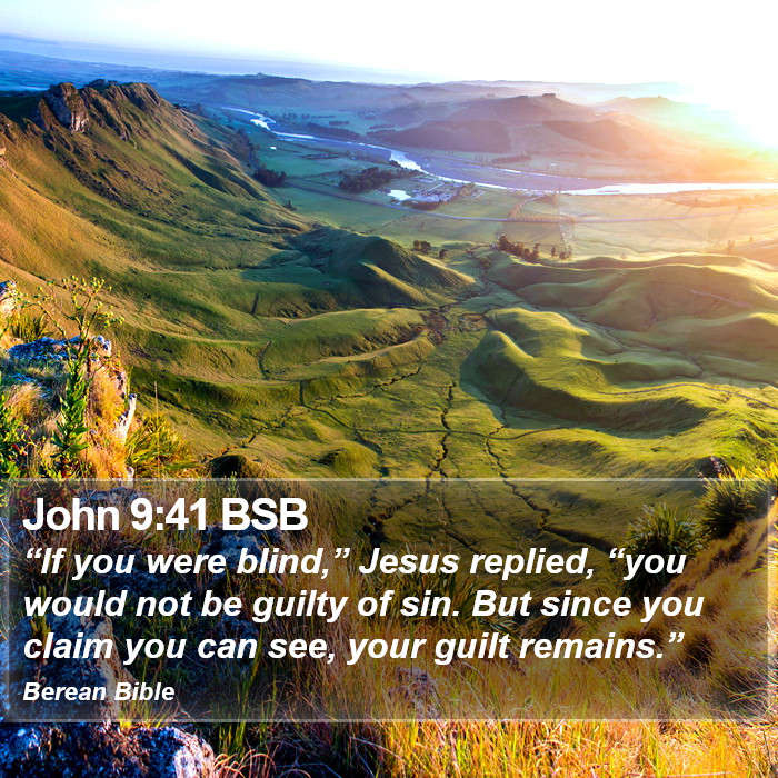 John 9:41 BSB Bible Study