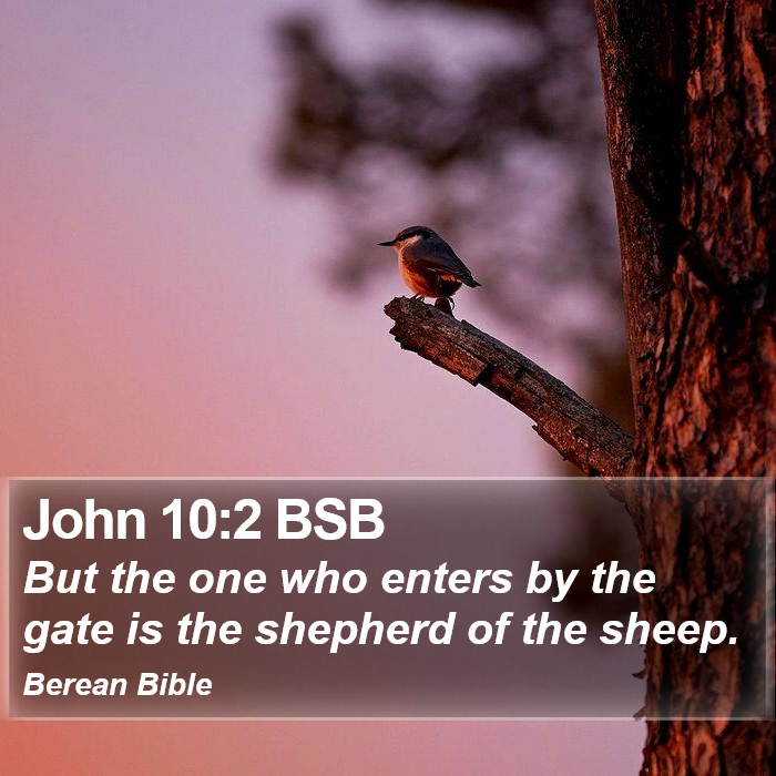 John 10:2 BSB Bible Study