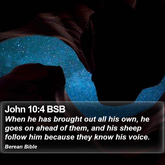 John 10:4 BSB Bible Study