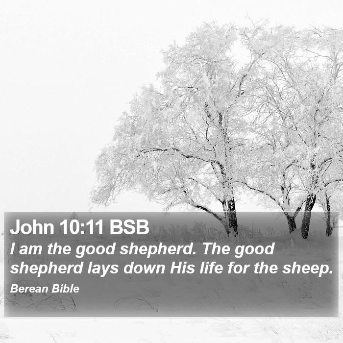 John 10:11 BSB Bible Study