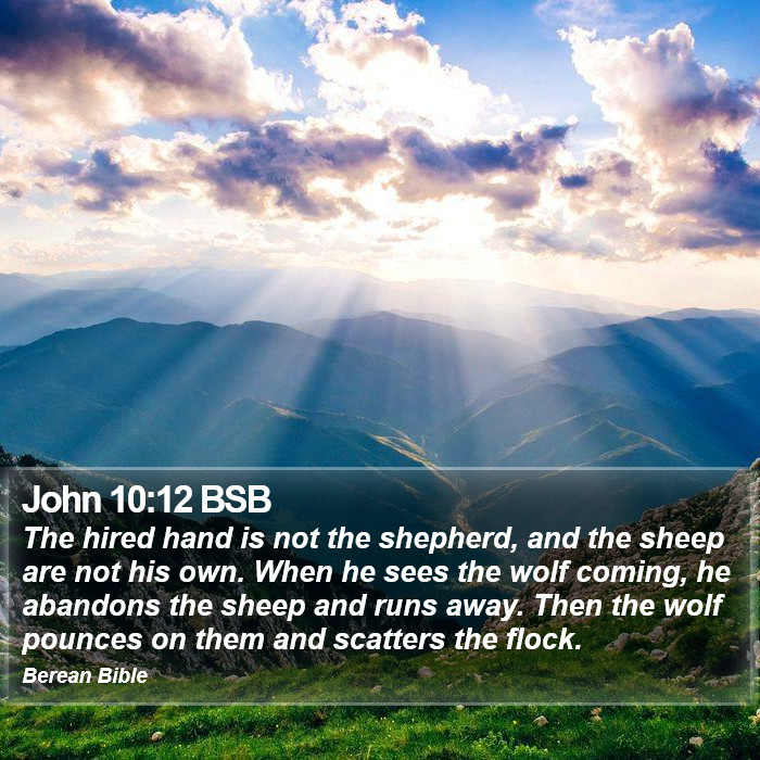 John 10:12 BSB Bible Study