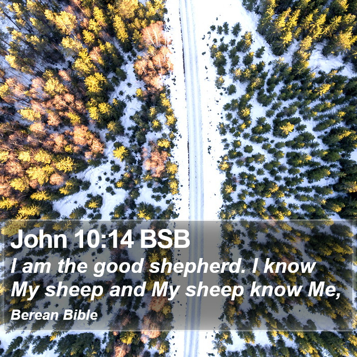 John 10:14 BSB Bible Study