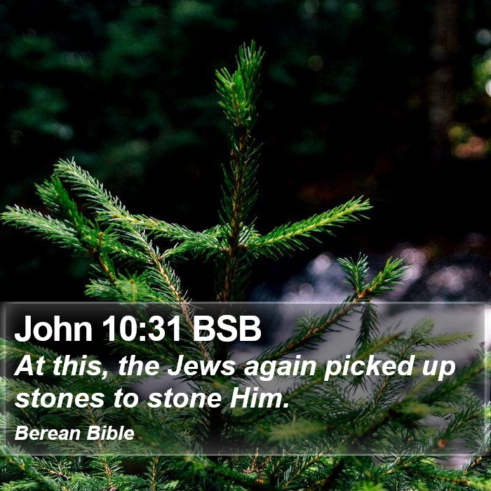 John 10:31 BSB Bible Study