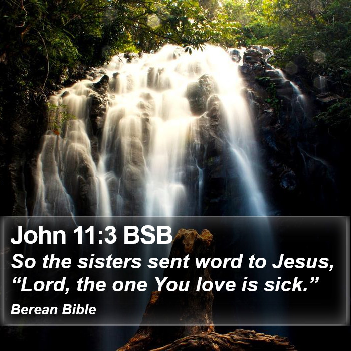 John 11:3 BSB Bible Study