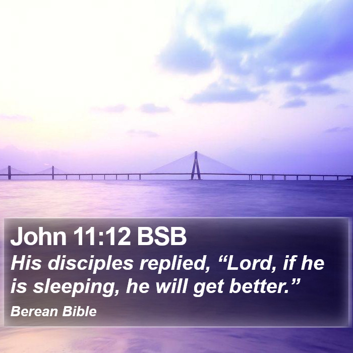 John 11:12 BSB Bible Study