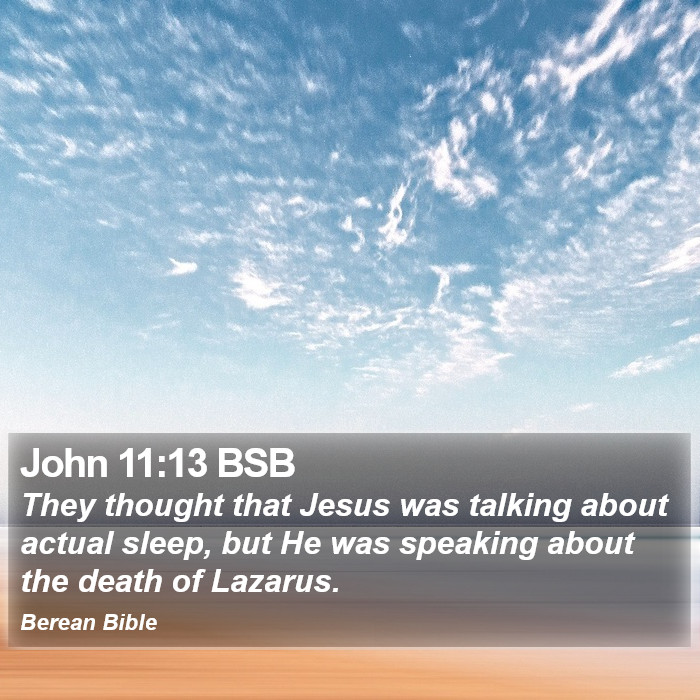 John 11:13 BSB Bible Study