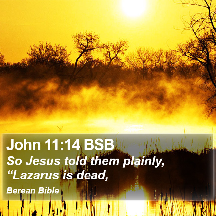 John 11:14 BSB Bible Study