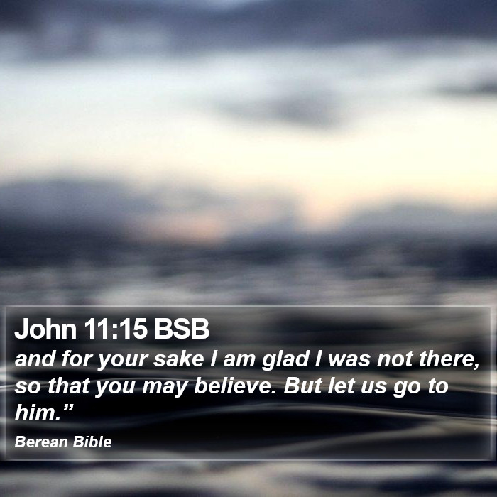 John 11:15 BSB Bible Study