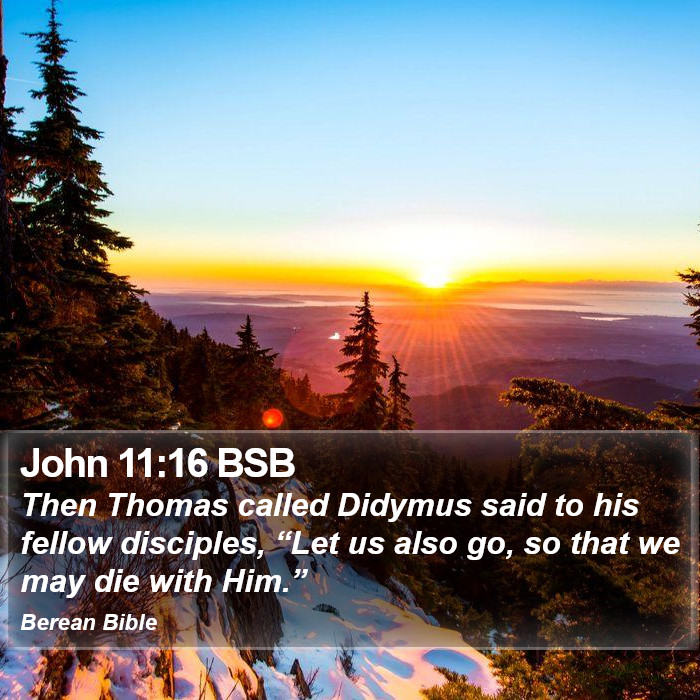 John 11:16 BSB Bible Study