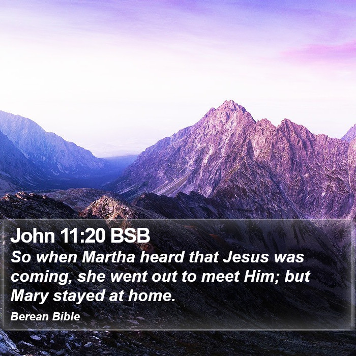 John 11:20 BSB Bible Study